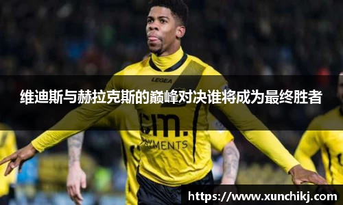 维迪斯与赫拉克斯的巅峰对决谁将成为最终胜者